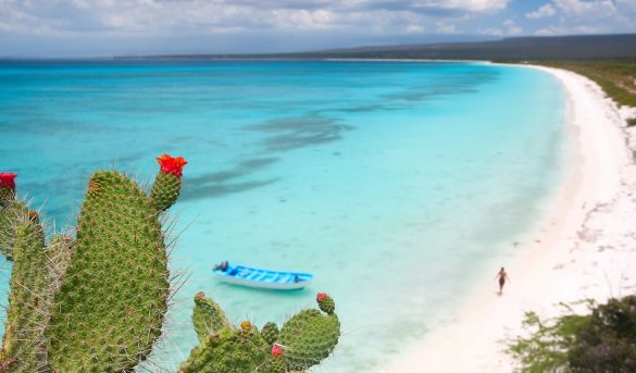 El plan Turístico Bahia de las Águilas está “al doblar la esquina”