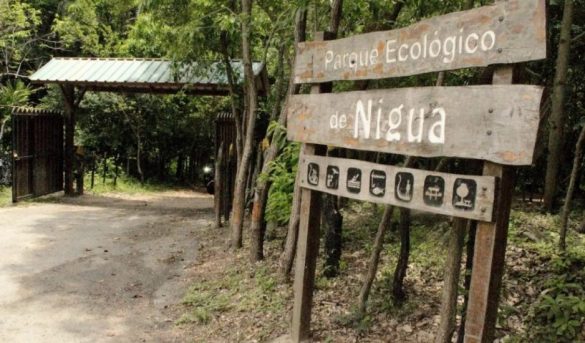 Humedales del Parque Biológico de Nigua, un espacio para el ecoturismo