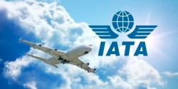 Aumenta trafico mundial de pesajeros, informe –IATA- dice subió 3.1% a marzo 2019