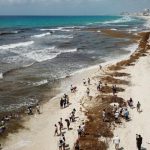 El Sargazo ha impactado 49 playas nacionales