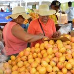 Gran entusiasmo y expectativas de productores en la feria del mango con la planta hidrotérmica