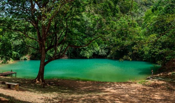 La laguna Cristal, un Oasis que une tres provincias de RD, un destino exclusivo del Parque Nacional Los Haitises