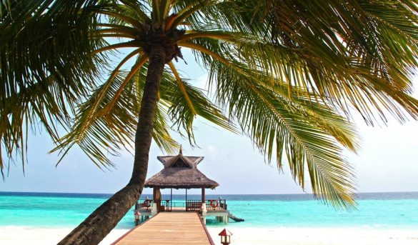 Los “mileniales” ponen a prueba la industria hotelera mundial