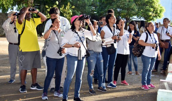 Global Big Day: demuestra la Ciudad Colonial tiene potencial para el aviturismo