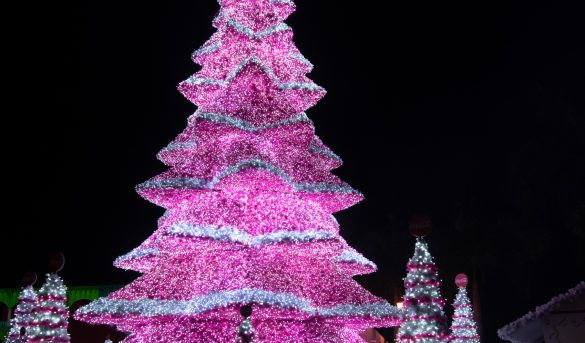 Coca-Cola motiva a incentivar turismo en la Ciudad Colonial