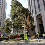 Neoyorquinos reciben con entusiasmo al famoso árbol del Rokefeller Center