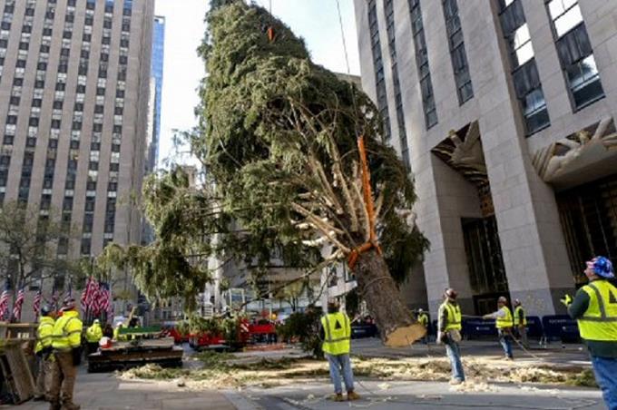 Neoyorquinos reciben con entusiasmo al famoso árbol del Rokefeller Center