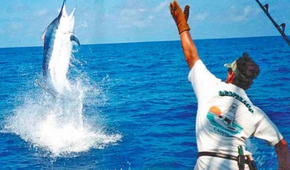 Arranca este jueves torneo al Pez Vela en Montecristi