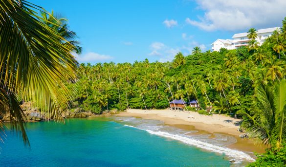 “Samaná abierta al mundo”, el encuentro para analizar desarrollo turístico del destino