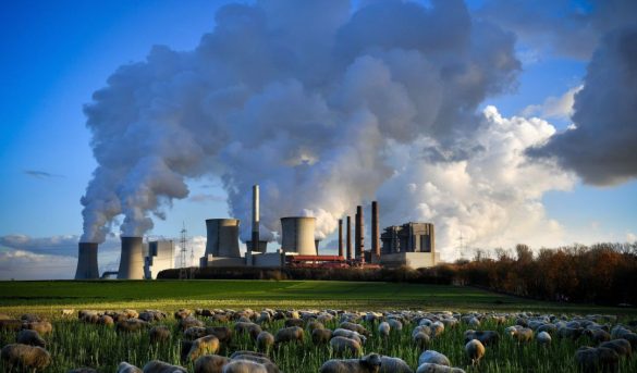 Informe OMT mide emisiones de carbono para el turismo