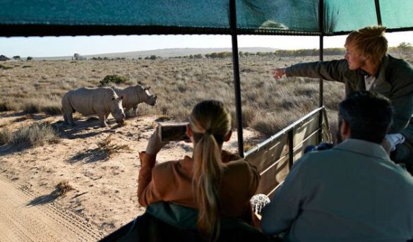 Dónde estudiar turismo en 2020?