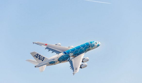 All Nippon Airlines: llamativa linea del avión más grande del mundo