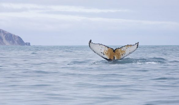Del centro del mundo al fin del mundo