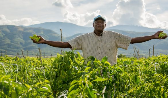 El 80% de lo que consumen los turistas se produce en los campos de RD