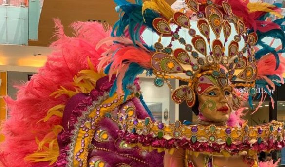 Se exhibe hasta marzo “Carnavales de mi tierra”