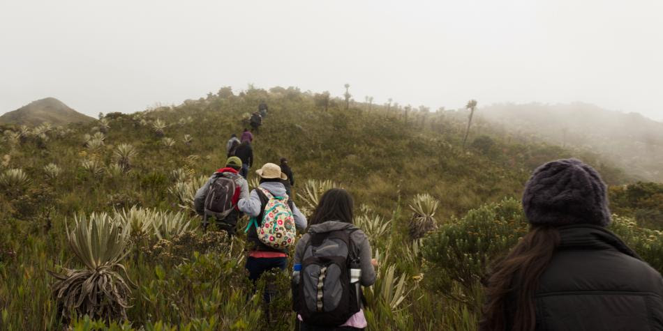 En Colombia se pone de moda el turismo en parques nacionales creció 6,9 % en el 2019