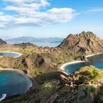 Dragones, Simios, Mantas y Aves