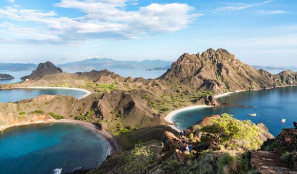 Dragones, Simios, Mantas y Aves