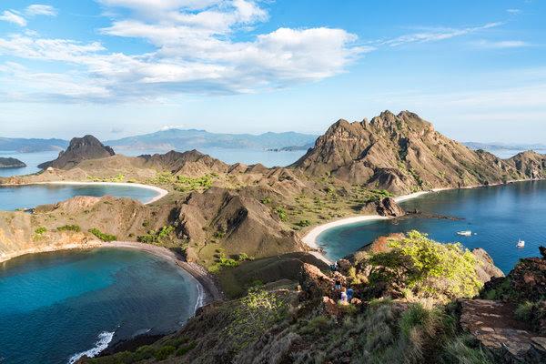 Dragones, Simios, Mantas y Aves