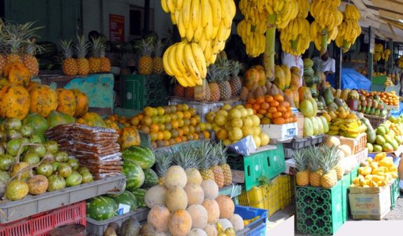 Afirman baja del turismo repercutirá también en el sector agropecuario