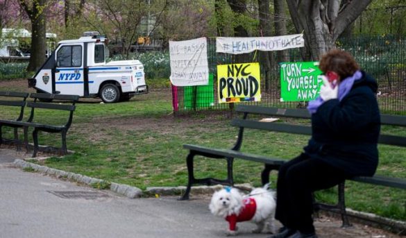Aislamiento en Nueva York transforma el Central Park