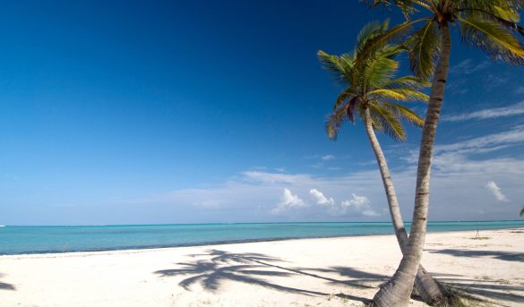 República Dominicana en el Top15 entre los destinos más populares del mundo 2020, segun TripAdvisor