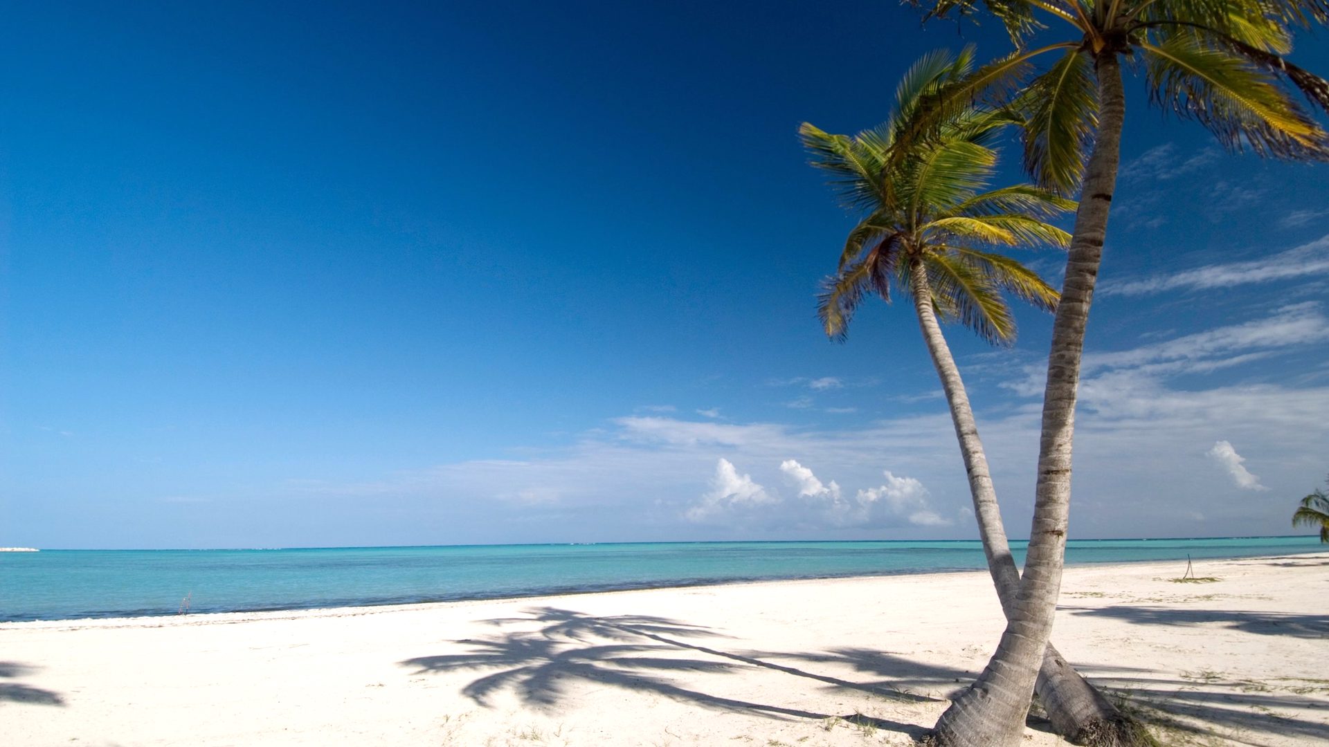 República Dominicana en el Top15 entre los destinos más populares del mundo 2020, segun TripAdvisor