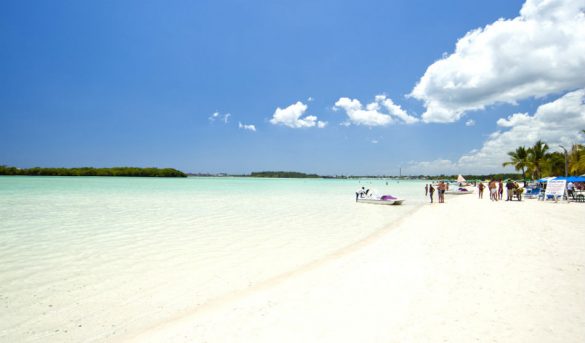 Retiran ocho toneladas de sargazo de playa de Boca Chica y todavía sigue llena de algas