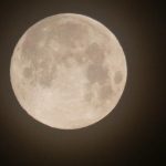 ¿Has visto la Superluna de las flores?