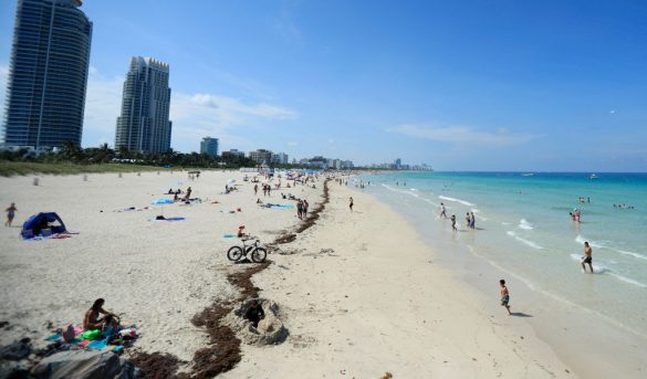 Todos los ojos sobre Florida: ¿próximo epicentro de la pandemia?