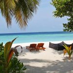 ¿Vacaciones en una isla paradisíaca? A la 'venta' el último rincón privado de EEUU