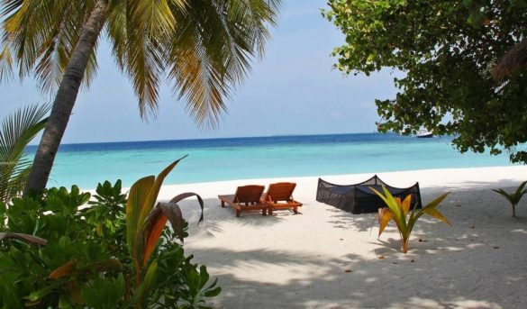 ¿Vacaciones en una isla paradisíaca? A la 'venta' el último rincón privado de EEUU