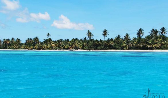 Tribunal suspende permiso de Globalia para construir hotel en parque Cotubanamá