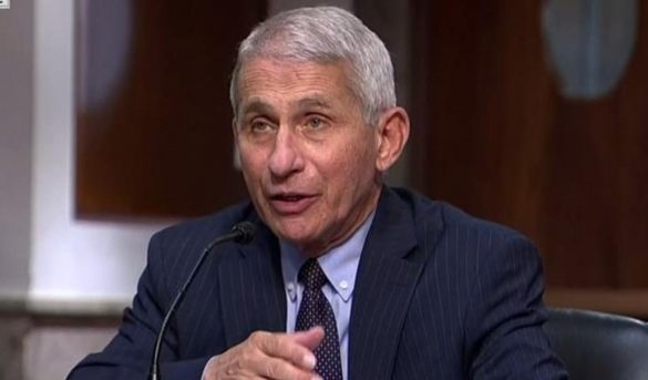 Estados Unidos pudiera alcanzar los 100,000 contagios diarios de COVID-19, advierte Epidemiólogo oficial Anthony Fauci