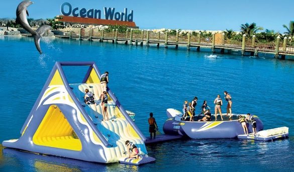 Ocean World presenta protocolo de seguridad e higiene para repaertura