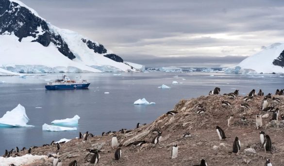 Historias de viajes: 11 tips valiosos para hacer turismo en la Antártida