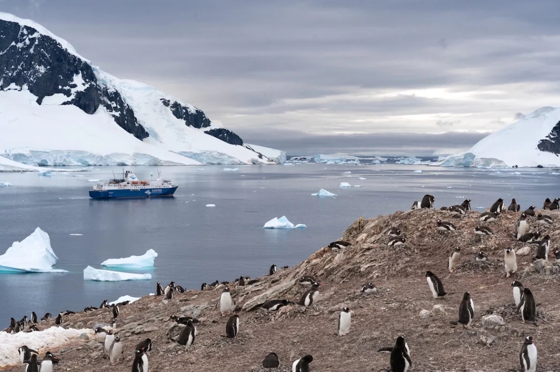 Historias de viajes: 11 tips valiosos para hacer turismo en la Antártida