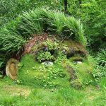 Extraordinaria belleza de los jardines perdidos de Heligan, en Reino Unido