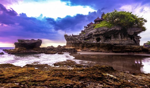 Las cifras de turistas internacionales caen un 65% en la primera mitad de 2020, informa la OMT