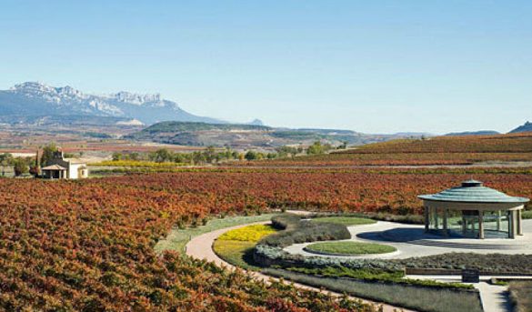 Crisis del enoturismo: cómo afrontan las bodegas de La Rioja el impacto del coronavirus