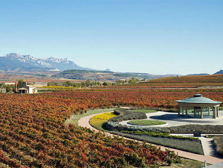 Crisis del enoturismo: cómo afrontan las bodegas de La Rioja el impacto del coronavirus