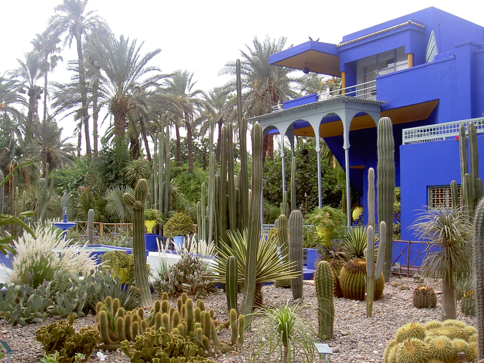 Jardin_Majorelle