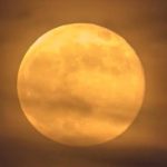 El extraño año 2020 también trae dos lunas llenas en octubre: luna de cosecha y una rara luna azul en Halloween