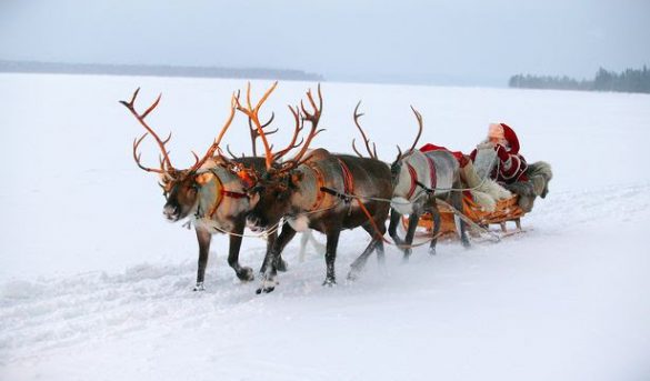 TUI ha cancelado las vacaciones en Laponia durante el invierno debido al Covid-19