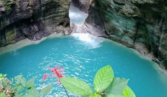 Donde está el tesoro de Cola de Pato