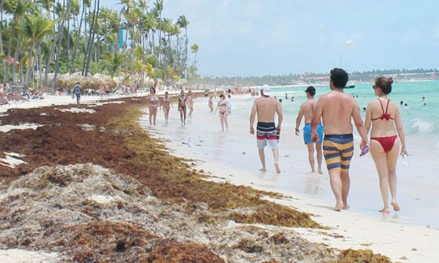El sargazo desafía la recuperación del turismo