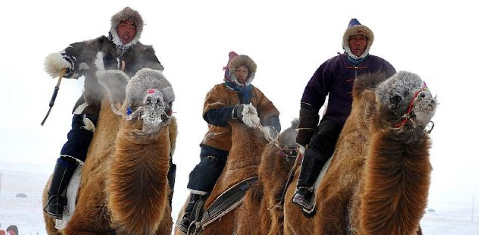 China celebra una espectacular carrera de camellos y caballos a 30 grados bajo cero