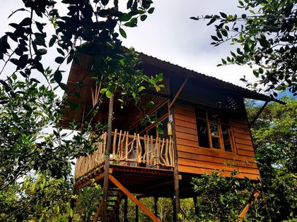 Estas son las tendencias de turismo sostenible que marcarán la pauta en 2021