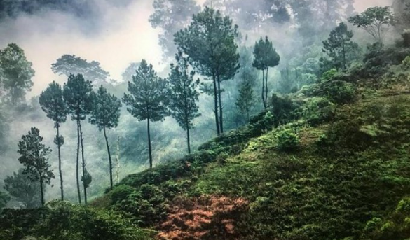 Reserva Científica Ebano Verde, Cordillera Central, Provincia La Vega, República Dominicana