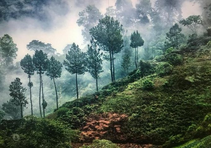 Reserva Científica Ebano Verde, Cordillera Central, Provincia La Vega, República Dominicana